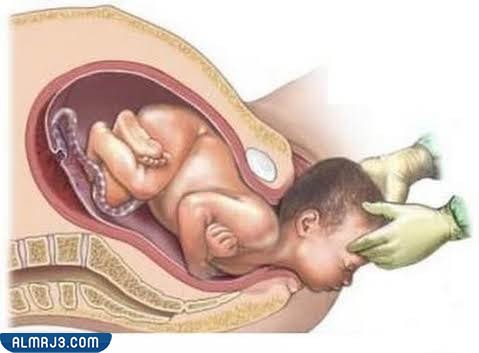 The most successful way to conceive a boy tested