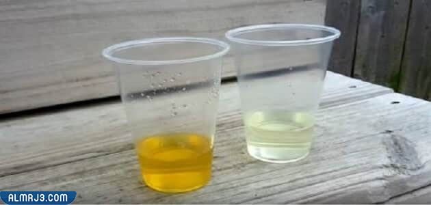 نتائج تحليل الحمل بالكلور