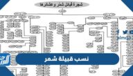 نسب قبيلة شمر وما هي أصولهم
