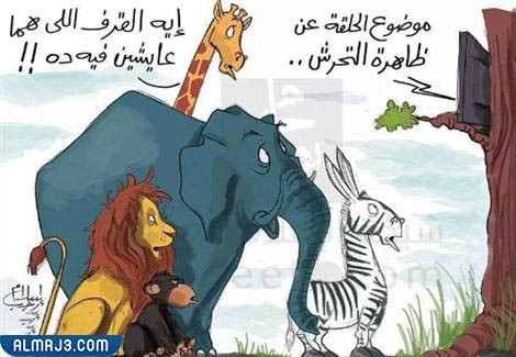 نكت حيوانات تموت من الضحك