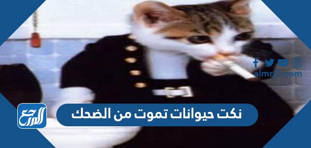 نكت حيوانات تموت من الضحك 2022 اجمل نكت حيوانات تهبل