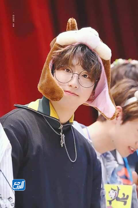 هان جيسونغ Han