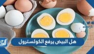 هل البيض يرفع الكولسترول في الدم؟