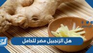 هل الزنجبيل مضر للحامل والجنين