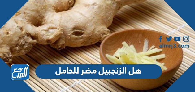 هل الزنجبيل مضر للحامل والجنين