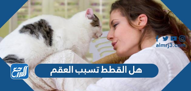 هل القطط تسبب العقم