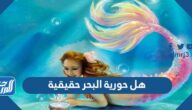 هل حورية البحر حقيقية