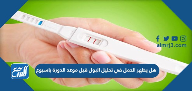 هل يظهر الحمل في تحليل البول قبل موعد الدورة باسبوع