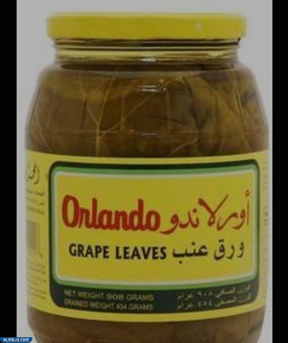 منتج أورلاندو