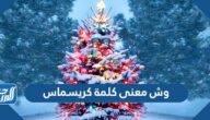 وش معنى كلمة كريسماس
