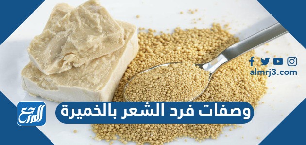 وصفات فرد الشعر بالخميرة