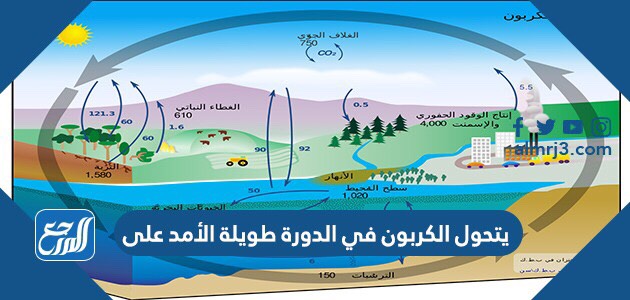 يتحول الكربون في الدورة طويلة الأمد على