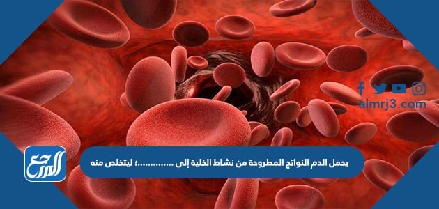 يحمل الدم النواتج المطروحة من نشاط الخلية إلى ..............؛ ليتخلص منها.