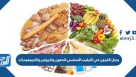 يدخل الكربون في التركيب الأساسي للدهون والبروتين والكربوهيدرات