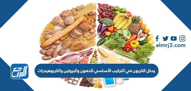 يدخل الكربون في التركيب الأساسي للدهون والبروتين والكربوهيدرات