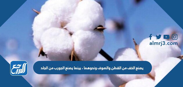 يصنع الخف من القطن والصوف ونحوهما ، بينما يصنع الجورب من الجلد