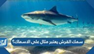 يعتبر سمك القرش مثال على الاسماك