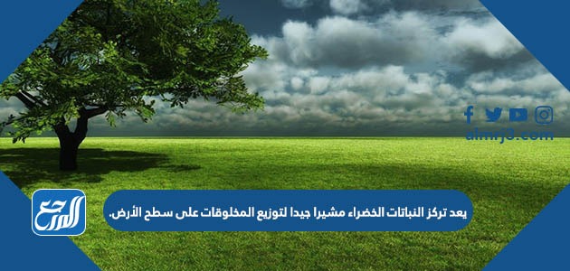 يعد تركز النباتات الخضراء مشيرا جيدا لتوزيع المخلوقات على سطح الأرض 