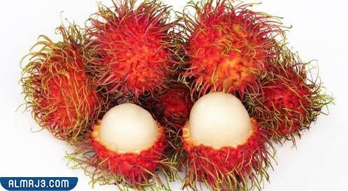 أغرب أنواع الفاكهة وأسمائها بالصور - رامبوتان