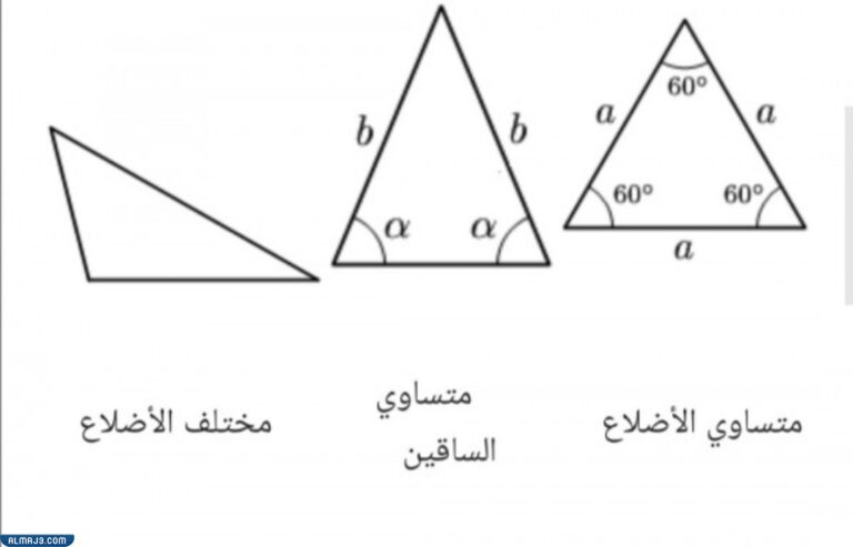 Types of triangles and their properties