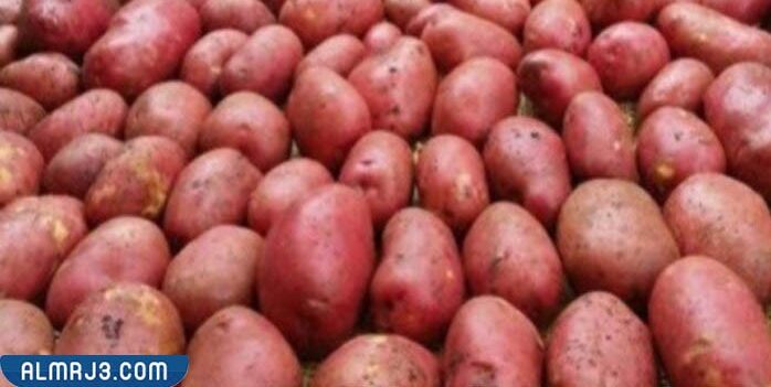 البطاطس الحمراء