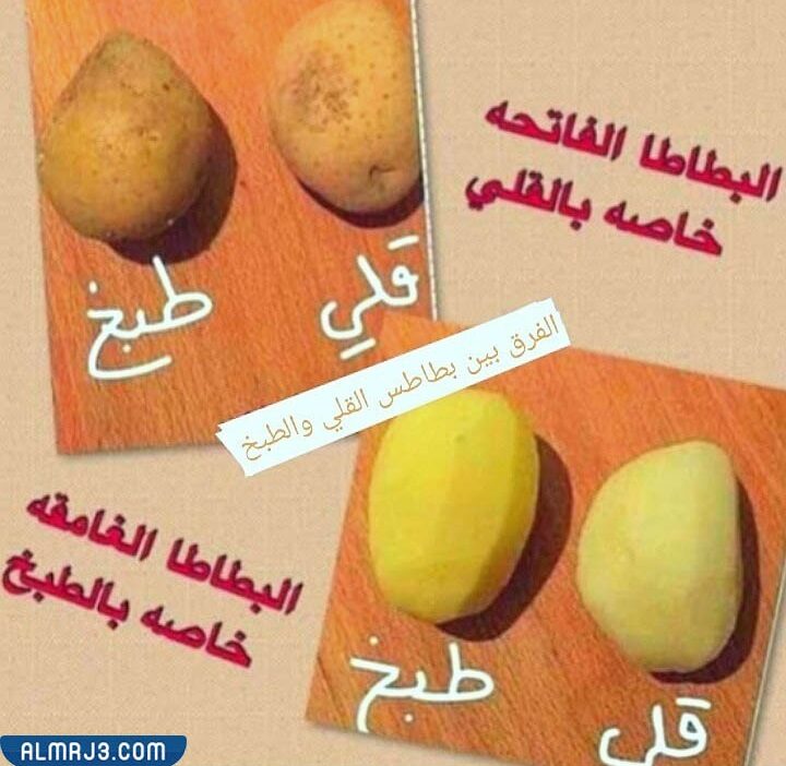 الفرق بين بطاطس القلي والطبخ