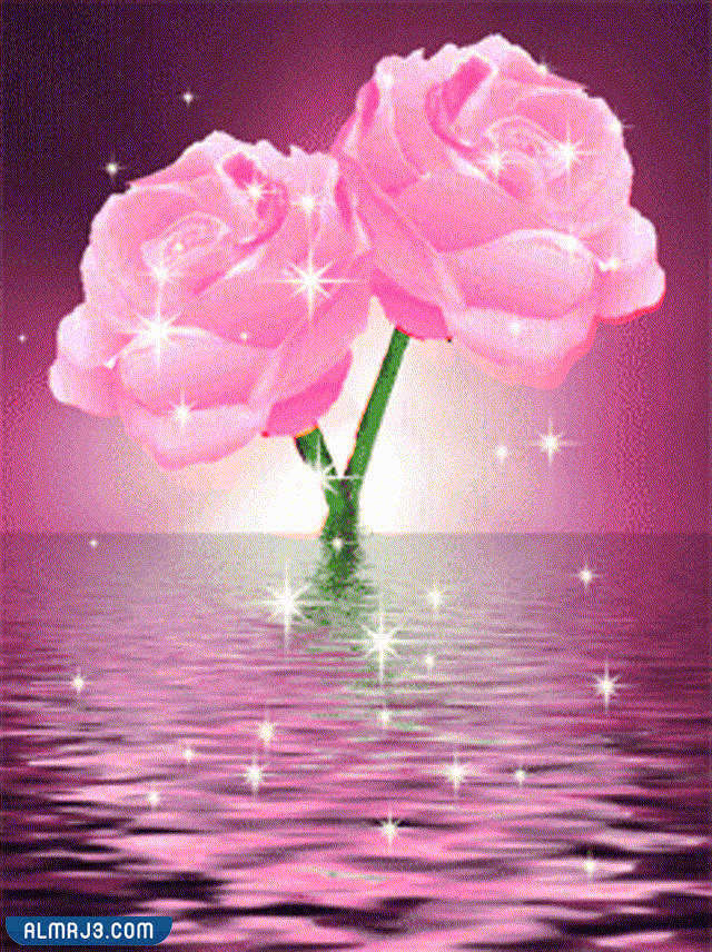 خلفيات وردية متحركة 2022