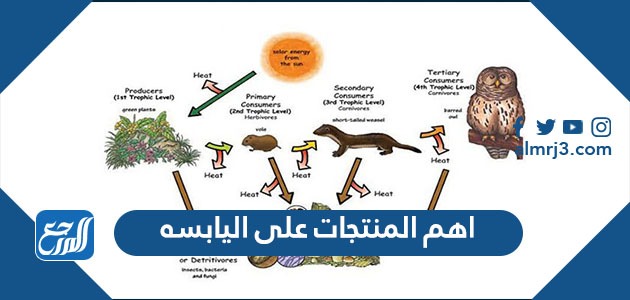 أهم المنتجات على اليابسة