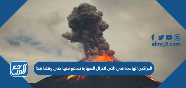 الوظيفه القلب والرئتين جزء من اي الرئيسيه جهاز للقلب يؤدي الصناعي أي جزء