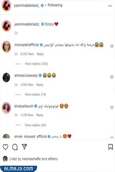 ردود فعل النجوم على قطة ياسمين عبد العزيز ...