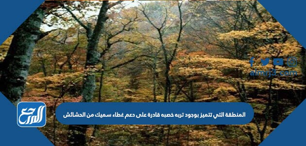 المنطقة التي تتميز بوجود تربه خصبه قادرة على دعم غطاء سميك من الحشائش