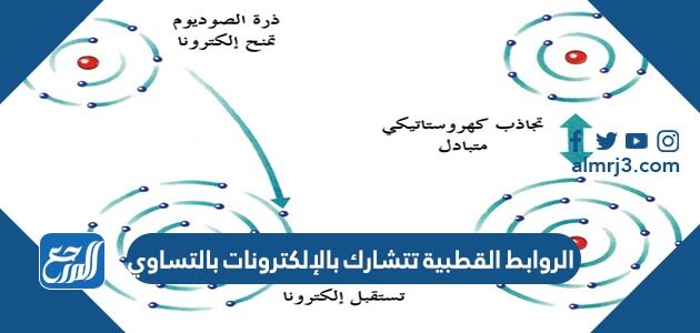 الروابط القطبية تتشارك بالإلكترونات بالتساوي