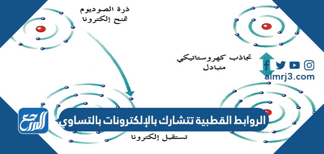 الروابط القطبية تتشارك بالإلكترونات بالتساوي