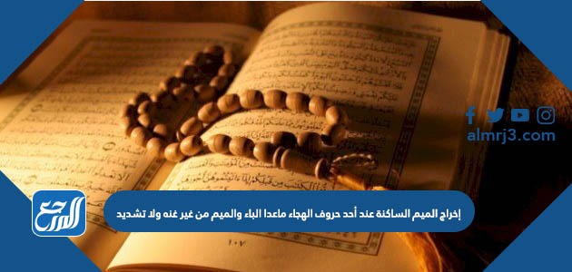 إخراج الميم الساكنة عند أحد حروف الهجاء ماعدا الباء والميم من غير غنه ولا تشديد