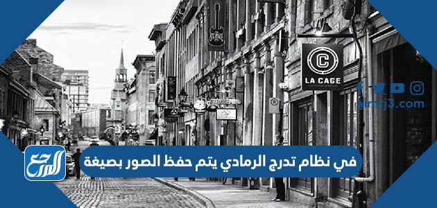 في نظام تدرج الرمادي يتم حفظ الصور بصيغة