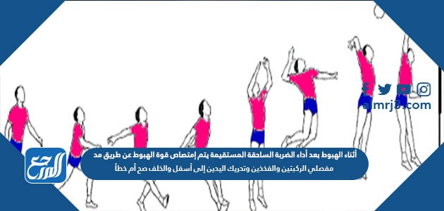 أثناء الهبوط بعد أداء الضربة الساحقة المستقيمة يتم إمتصاص قوة الهبوط عن طريق مد مفصلي الركبتين والفخذين وتحريك اليدين إلى أسفل والخلف صح أم خطأ