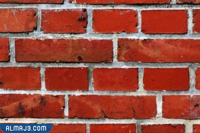 أحدث ديكورات بلاط سيراميك جدران ٢٠٢٢