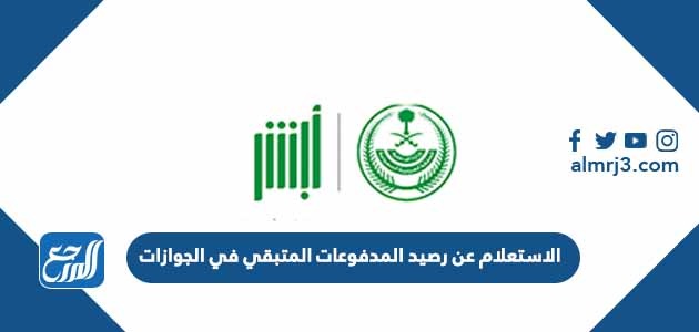 الاستعلام عن رصيد المدفوعات المتبقي في الجوازات 2022
