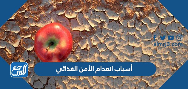 أسباب انعدام الأمن الغذائي