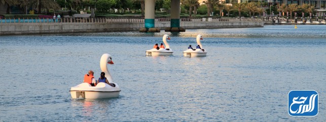 أنشطة الدرجات المائية