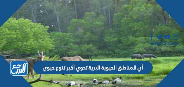 أي المناطق الحيوية البرية تحوي أكبر تنوع حيوي