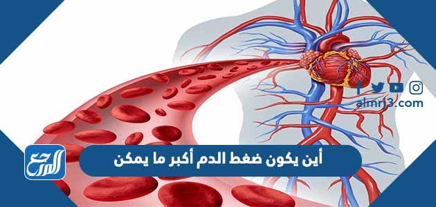 أين يكون ضغط الدم أكبر ما يمكن