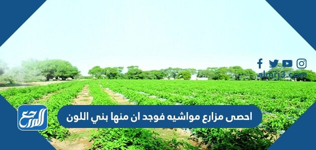 احصى مزارع مواشيه فوجد ان منها بني اللون