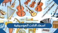 اسماء الالات الموسيقية مع الصور