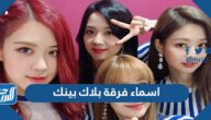 اسماء فرقة بلاك بينك