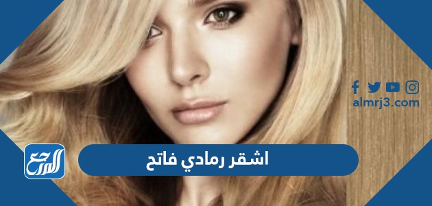 افضل 10 صبغات شعر أشقر رمادي فاتح 2022