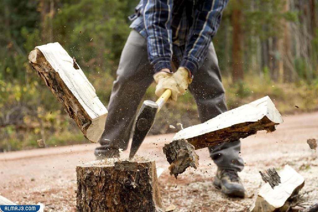 ما هو الحطب