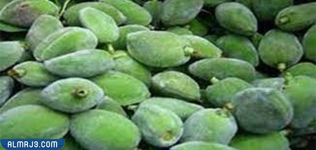 الأشخاص الذين يمتنع عليهم تناول اللوز الأخضر