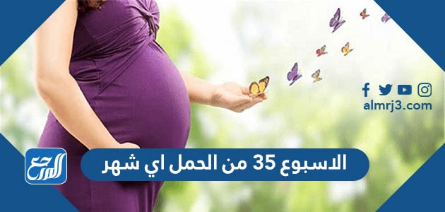 الاسبوع 35 من الحمل اي شهر