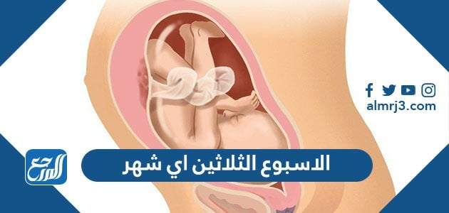 الاسبوع الثلاثين اي شهر